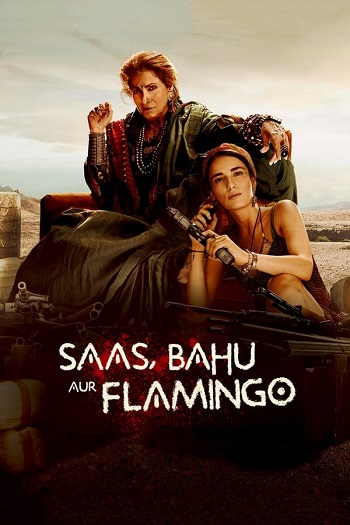 Saas Bahu Aur Flamingo